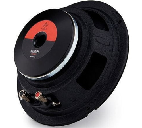 Среднечастотная АС Урал Патриот АС-ПТ165 Элемент