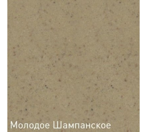 Кухонная мойка Zigmund & Shtain Kreis OV 575 молодое шампанское