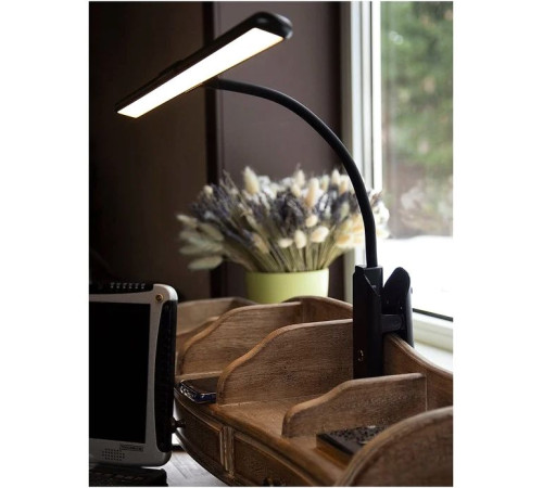 Настольная лампа Lucia Flex Accu Clip L555 черный