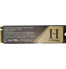 SSD Horizont H-Storage 256GB HSA4300-256G