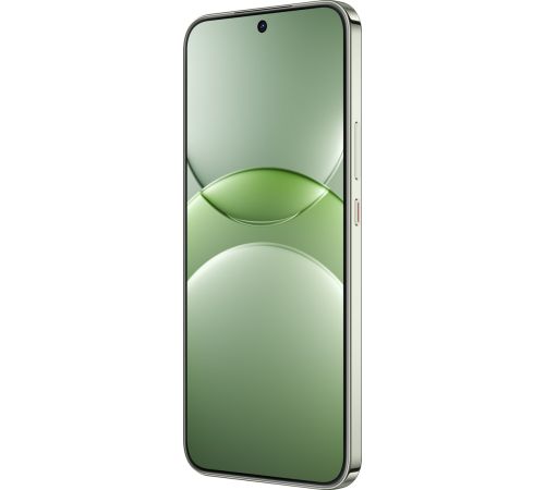 Телефон Huawei nova 13 BLK-LX9 12GB/512GB дымчатый зеленый