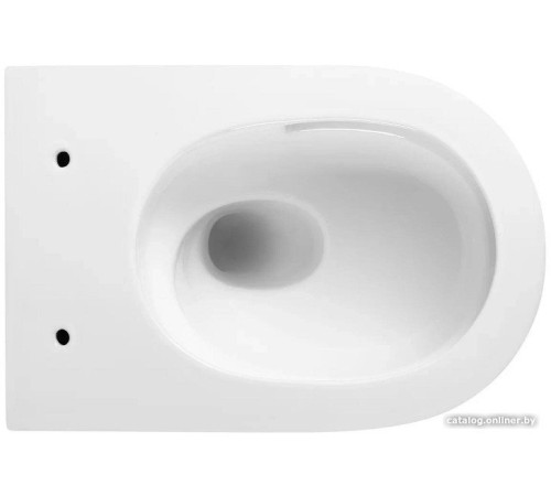 Унитаз подвесной Berges Wasserhaus Tornas 043328