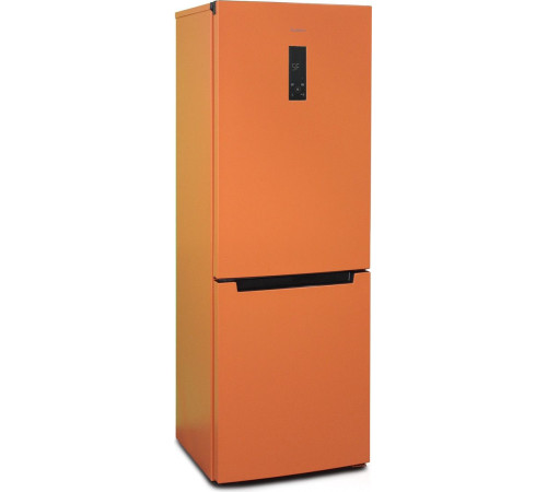 Холодильник Бирюса T920NF