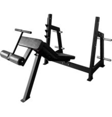 Силовая скамья Bronze Gym AL-306