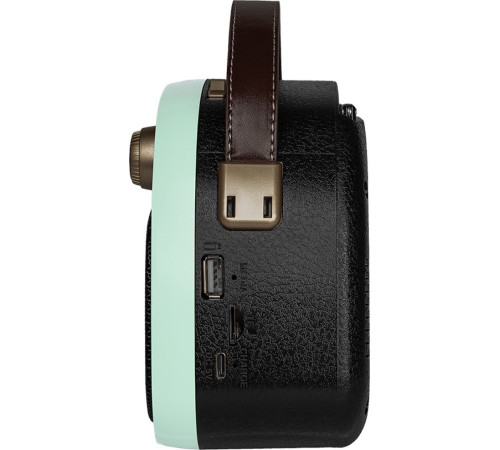 Радиоприемник Ritmix RPR-040 мятный