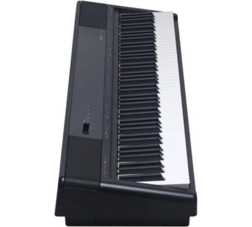 Цифровое пианино Medeli SP-C120