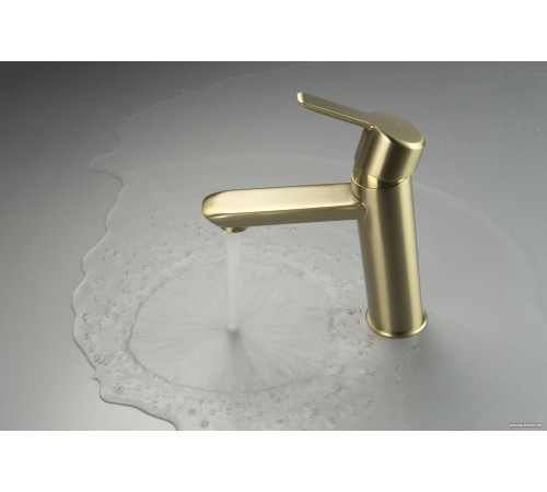 Смеситель Deante Arnika BQA R20M золото