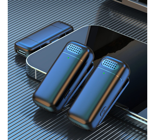 Радиосистема Miru MIC005