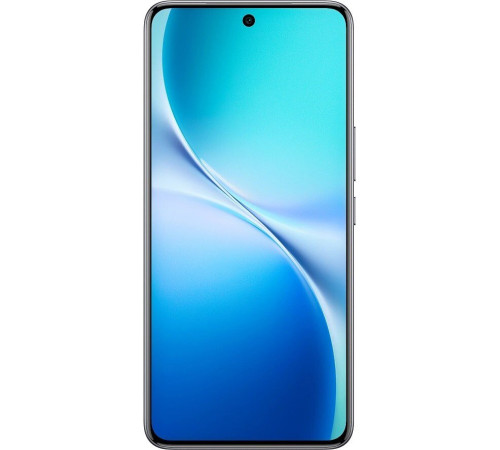 Телефон Vivo V60 12GB/256GB международная версия туманный серый