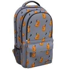 Городской рюкзак Erich Krause ActiveLine Ergoback 22L Capybara 60319