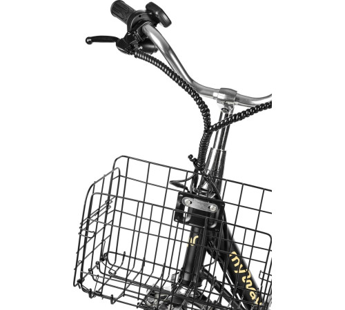 Электровелосипед MyWay Truck 1.0 350 20 15, черный