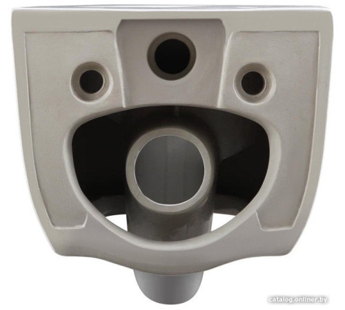 Унитаз подвесной Berges Wasserhaus Tornas 043328