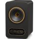 Монитор ближнего поля Tannoy Gold 5