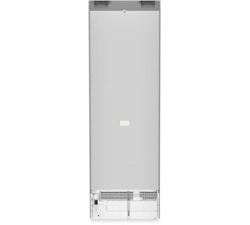Однокамерный холодильник Liebherr Rsfd 5220 Plus