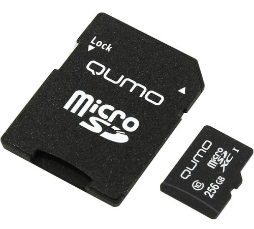 Карта памяти QUMO microSDXC QM256GMICSDXC10U3 256GB