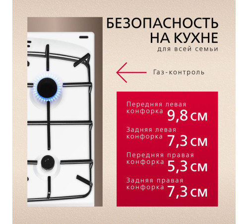 Кухонная плита Hansa FCGW510009H