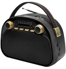 Радиоприемник Ritmix RPR-040 черный