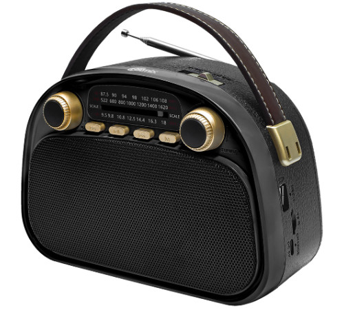 Радиоприемник Ritmix RPR-040 черный