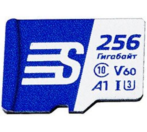 Карта памяти SilverStone F1 Speed Card 256GB