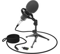 Микрофон Ritmix RDM-160