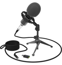 Микрофон Ritmix RDM-160