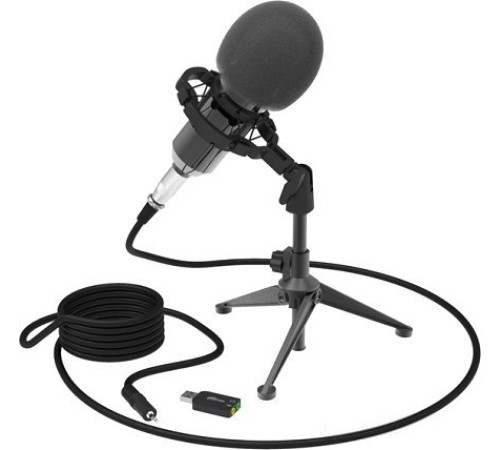 Микрофон Ritmix RDM-160