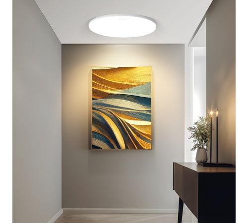 Светильник-тарелка Yeelight Porch Ceiling Light С320