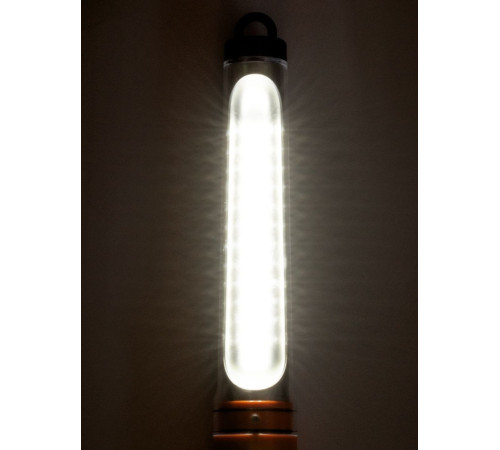 Светильник TDM Electric ФП12 SQ0306-0012