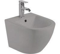 Биде WeltWasser Merzbach 005 MT-GR серый матовый