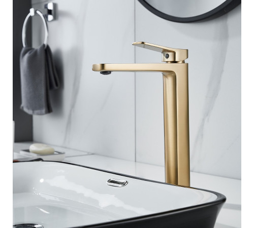 Смеситель Shevanik S9911G