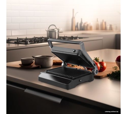 Электрогриль Endever Grillmaster 245