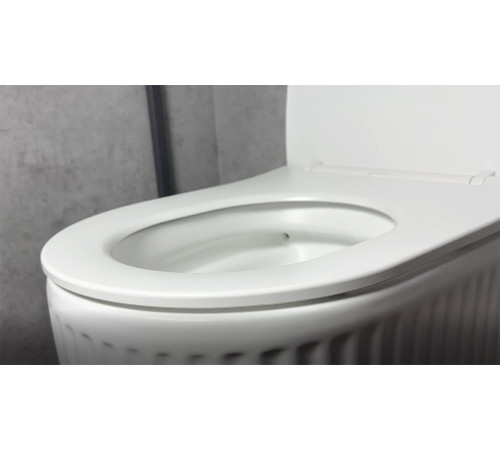 Унитаз подвесной Roxen Royal Matt Rimless Soft Close NC 530200-01