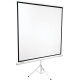 Проекционный экран BRAUBERG Tripod 1:1 150x150 236729