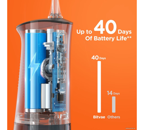 Ирригатор  Bitvae C2 черный