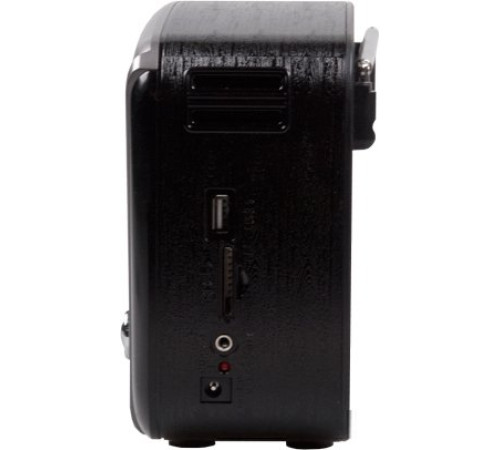 Радиоприемник Ritmix RPR-065
