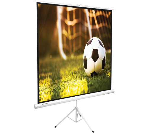 Проекционный экран BRAUBERG Tripod 1:1 150x150 236729