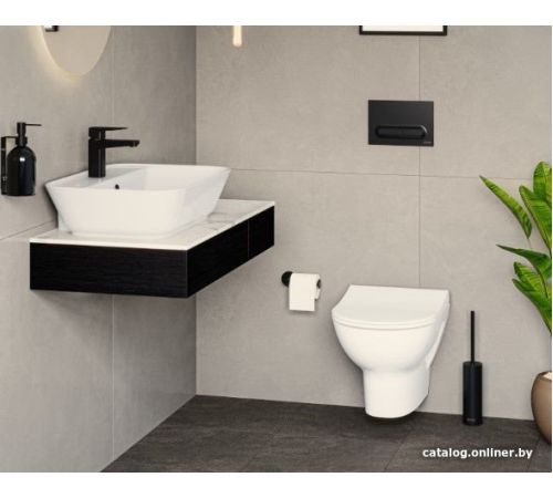 Унитаз подвесной Vitra Zentrum 5795B003-6077