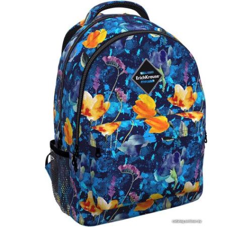 Школьный рюкзак Erich Krause EasyLine 20L Watercolor 51630