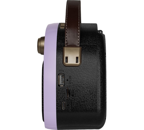 Радиоприемник Ritmix RPR-040 лавандовый