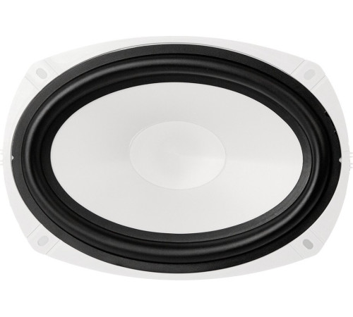 Коаксиальная АС ACV M69W