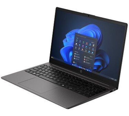 Ноутбук HP 255R G10 CT9L8AT