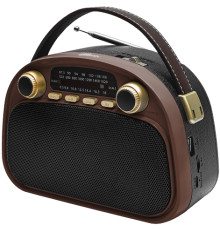 Радиоприемник Ritmix RPR-040 шоколадный