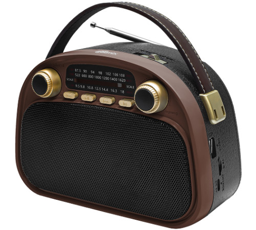 Радиоприемник Ritmix RPR-040 шоколадный
