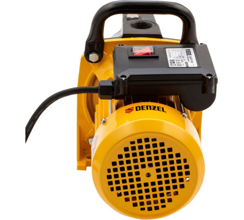 Самовсасывающий насос Denzel GP1100C