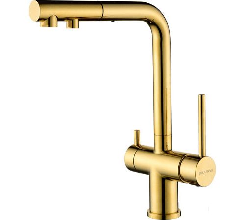 Смеситель Paulmark Serpentine SE213222-G золото