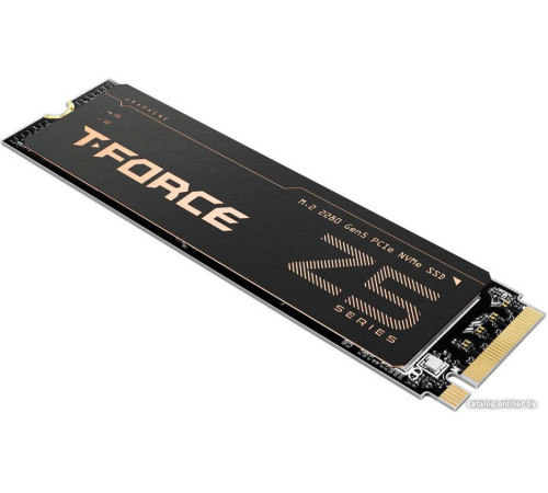 SSD Team T-Force Cardea Z540 4TB TM8FF1004T0C129