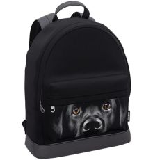 Городской рюкзак Erich Krause StreetLine Black Dog 60349