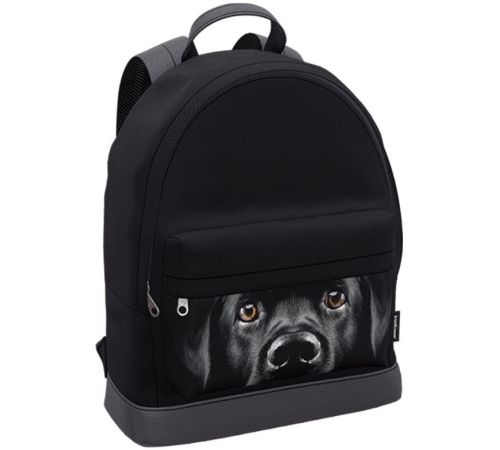Городской рюкзак Erich Krause StreetLine Black Dog 60349