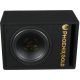 Корпусной активный сабвуфер Phoenix Gold Z12AB