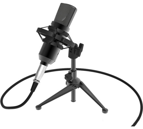 Микрофон Ritmix RDM-160